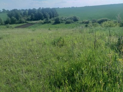 Земельна ділянка Хмельницький