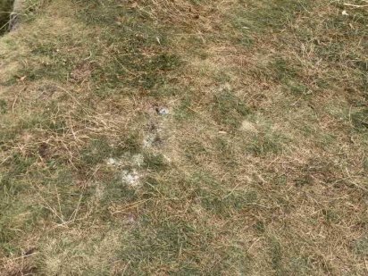 Продаются земельные участки для строительства гаража в городе Шостка