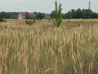 Продаж земельної ділянки Видрові доли SL