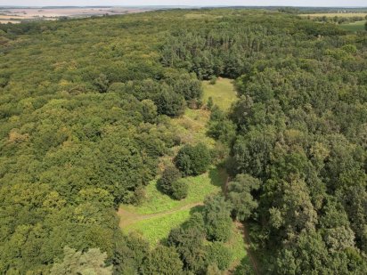 Продаж земельної ділянки у лісі! ТОРГ/ОБМІН! Хмельницький