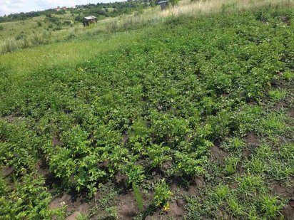 Продається земельна ділянка під забудову Хмельницький