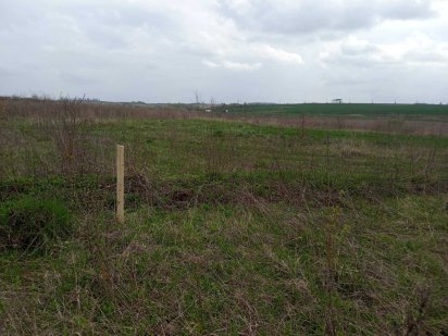 Земельна ділянка Ружична Н Хмельницький