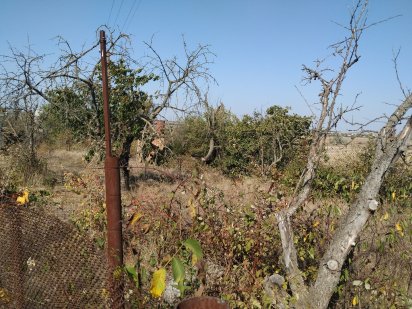 Дачный участок 7 соток, Дофиновка СТ Строитель Южное