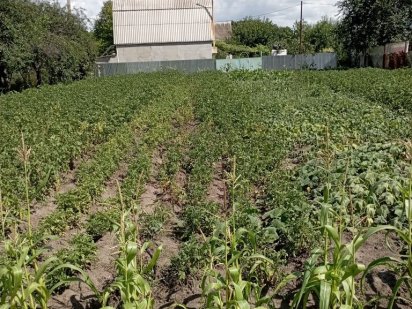 Продам земельну ділянку. Белая Церковь