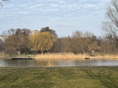 Продаж ділянки під житлову забудову на бераза р. Рось Біла Церква