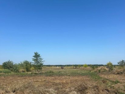 Продам земельну ділянку ФАСАД