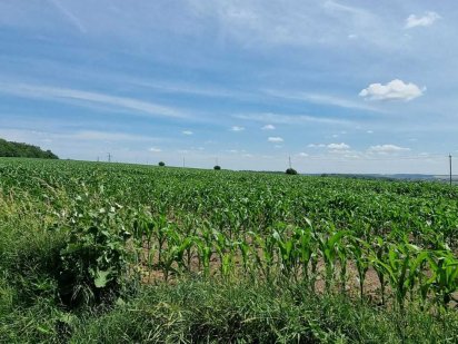 PV Продається 2 га біля міста