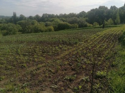 Земля Царське озеро. Неподалік Західно-Окружної Хмельницький