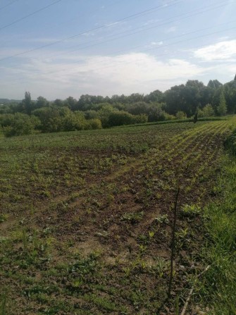 Земля Царське озеро. Неподалік Західно-Окружної - фото 1