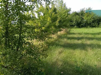 Продам ділянку під забудову Бориспіль