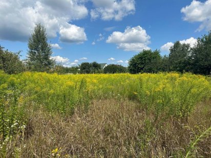 Продам земельну ділянку,вул.Зелена(навпроти Олімпу,Торгмаш) Бровари