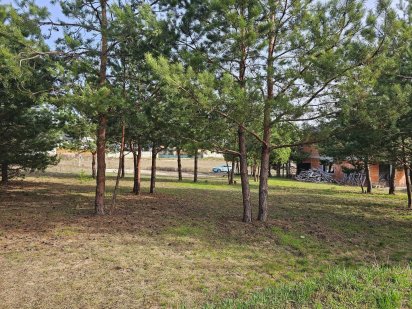 Ділянка 10 соток з соснами і електрикою. Зелена поляна 2