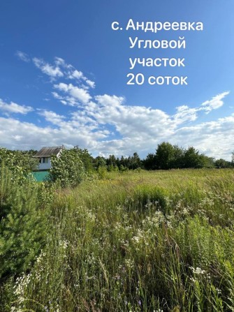 Продажа участка с. Андреевка 20 соток угловой возле леса - фото 1