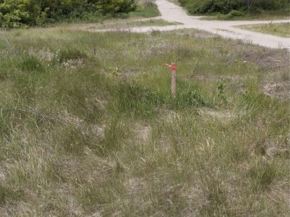 Продаж ділянки у селі Хоцьки