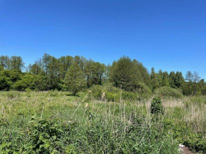 Земельні ділянки під котеджне містечко в серці Бучі.