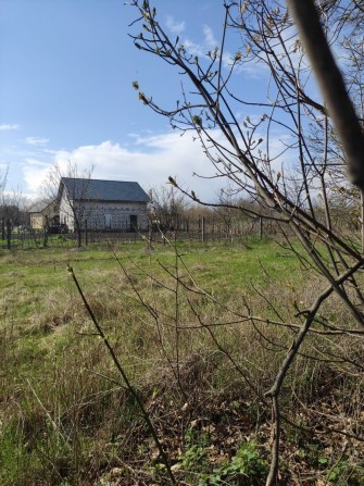 Найнижча ціна ділянки в Білій церкві.  Гайок - фото 1