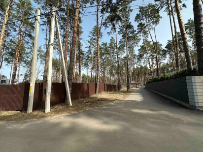 Буча Гоголя під будівництво котеджів