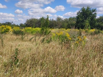 Власник. Без %. Земельна ділянка. м.Біла Церква
