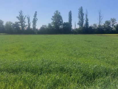 Продається   земельна ділянка с. Пилипча