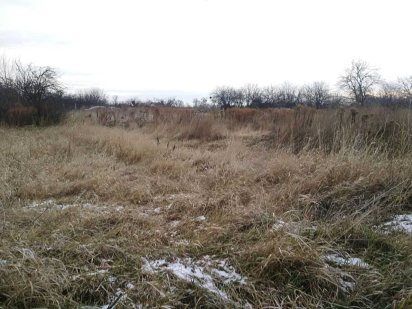 Земельна ділянка по вул. Толстого (поруч дорога на Терезине). Белая Церковь