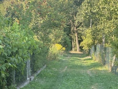 Дачна ділянка в Демʼяновому Лазі СТ Пролісок Івано-Франківськ