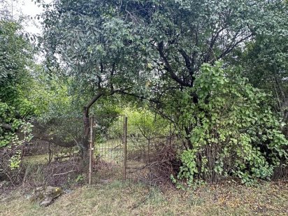 Дачна ділянка Ст Бистриця Надвірнянська Івано-Франківськ