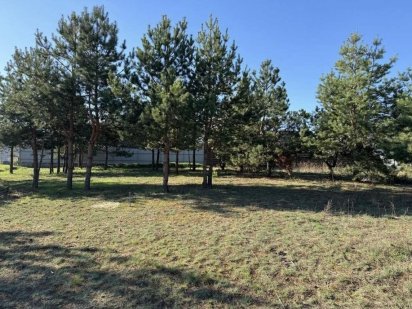 Земля зелена поляна 2 власник