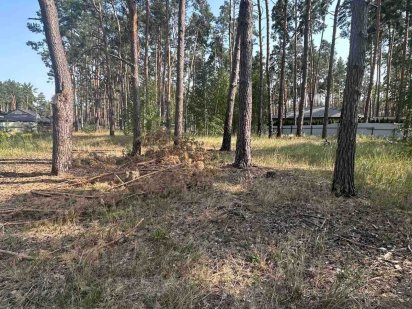 ТОП місце в Лісовій Бучі, недалеко від Бістро Пекаря земельна ділянка