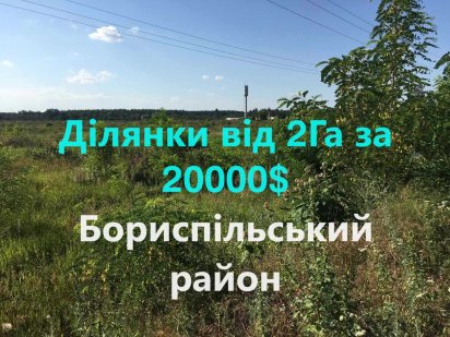 Земельна ділянка 2Га за 20000$ Бориспільський район Бориспіль