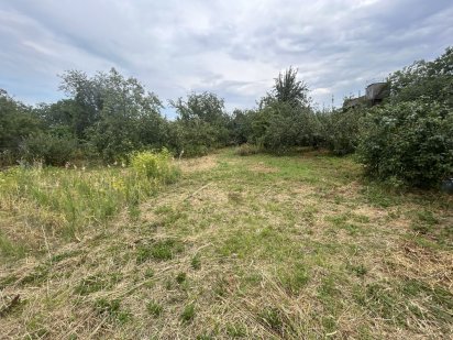 Продам участок земля 6 соток Белая Церковь