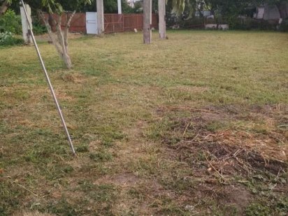 Земельна ділянка Бориспіль