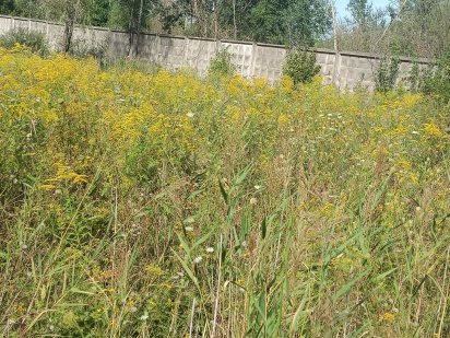 Земельна ділянка( дача) 6 сот. Ивано-Франковск