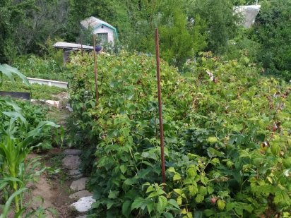 Дачна ділянка 7 соток, Біла Церква, с. Шкарівка Белая Церковь