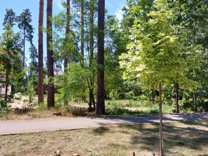 Земельна ділянка 5 соток м.Буча Буча