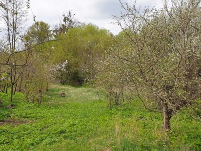 Продаж ділянки в Бучі, підключена електрика 5кВт Буча