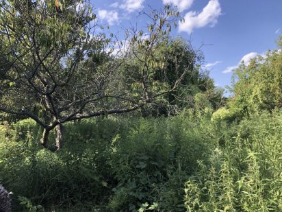 Продам ділянку 12 соток! Лугова