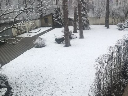 Ірпінь. Центральний парк. 28 сот. Ірпінь