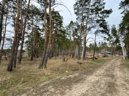 Трьохфасадна ділянка у лісовій Бучі під Києвом