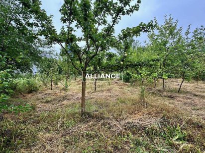 Ділянка в садовому товаристві “Пролісок” – Дем’янів Лаз Ивано-Франковск