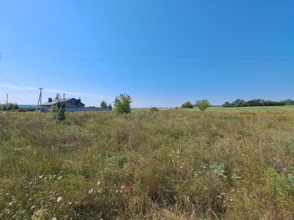 Продаж земельна ділянка Ірпінь поле дреда