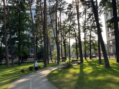 Ірпінь, 25 соток з прямим виходом в парк під таунхауси, бартер Ірпінь