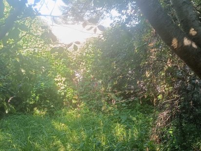 Ділянка  Буча 10 соток, будинок 72 м2, є газ, електрика, вода.