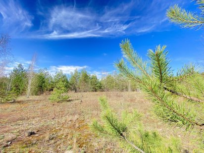 Земельна ділянка 12соток під забудову в Ірпені Ирпень