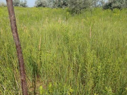 Продам ділянку 12 соток с.Артемівка (Бориспільський р-н) Бориспіль