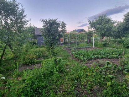 Земельна ділянка в садівництві "За мир" (Набережна) Ивано-Франковск