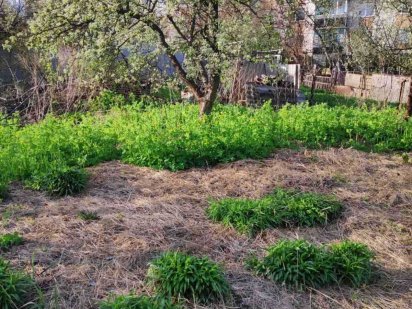 Продам земельну ділянку в Бучі по вул. Кірова БЕЗ КОМІСІЇ Буча