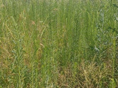 Продаються земельні ділянки в Бучі