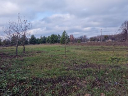 Буча 1060 $ за  сотку Буча