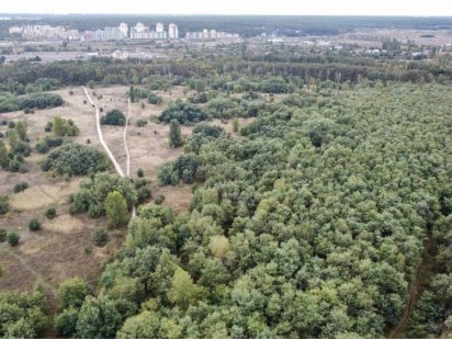 2,6 га під забудову! Буча