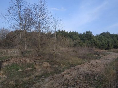 Участок  земли под застройку возле соснового леса(каменнные потоки) Кременчук